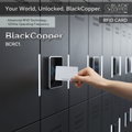 BlackCopper BCRC1
